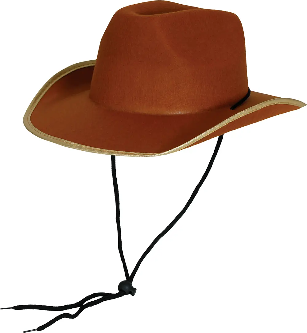 Brun cowboyhat i filt