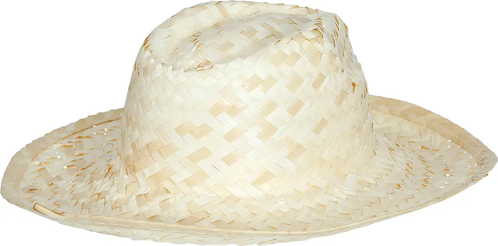 Sommerhat i strå
