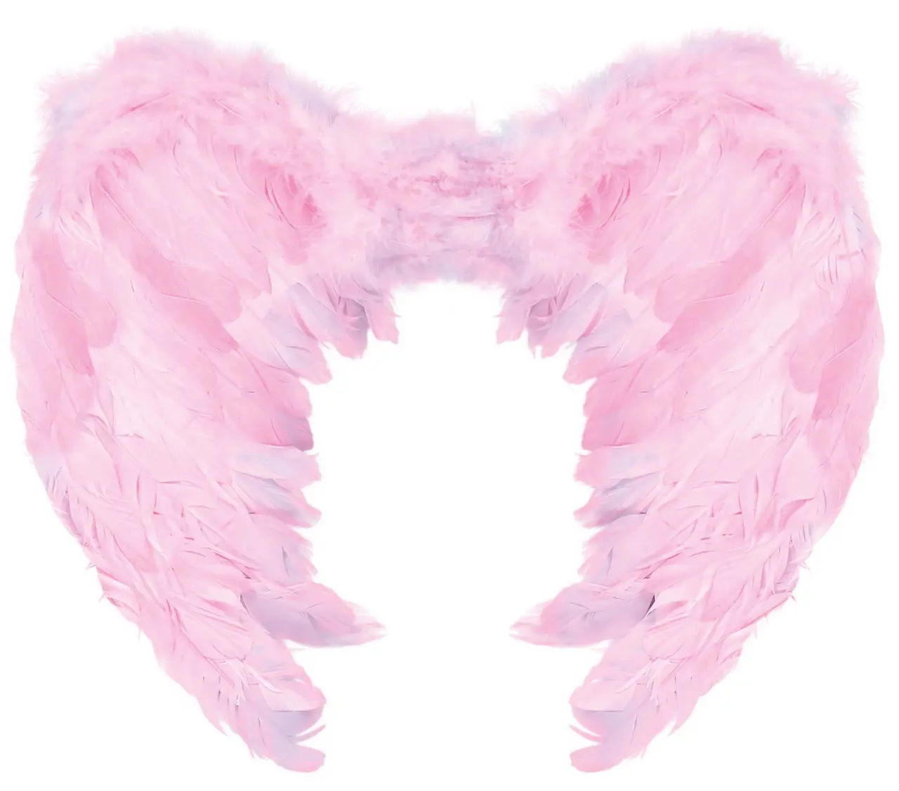Pink fjervinger, 60 × 40 cm