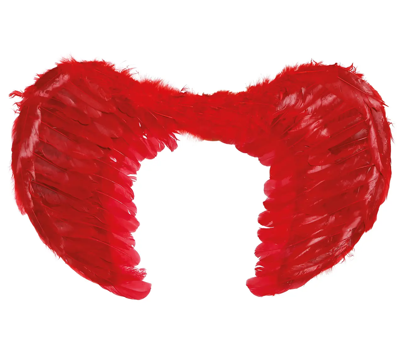 Røde fjervinger, 60 × 40 cm