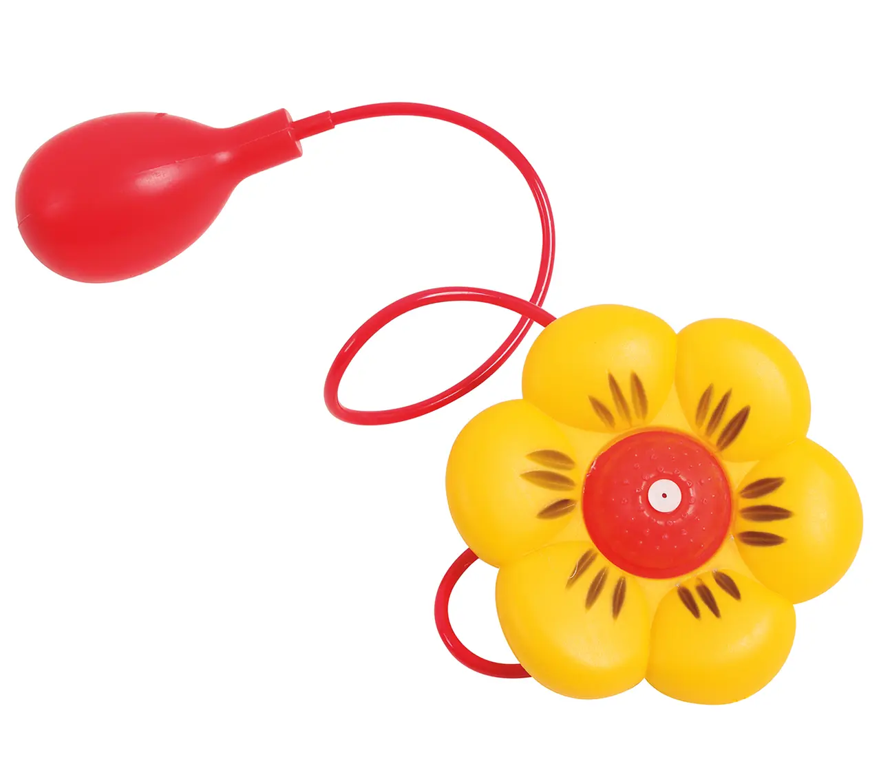 Klovne-sprøjteblomst, 12 cm
