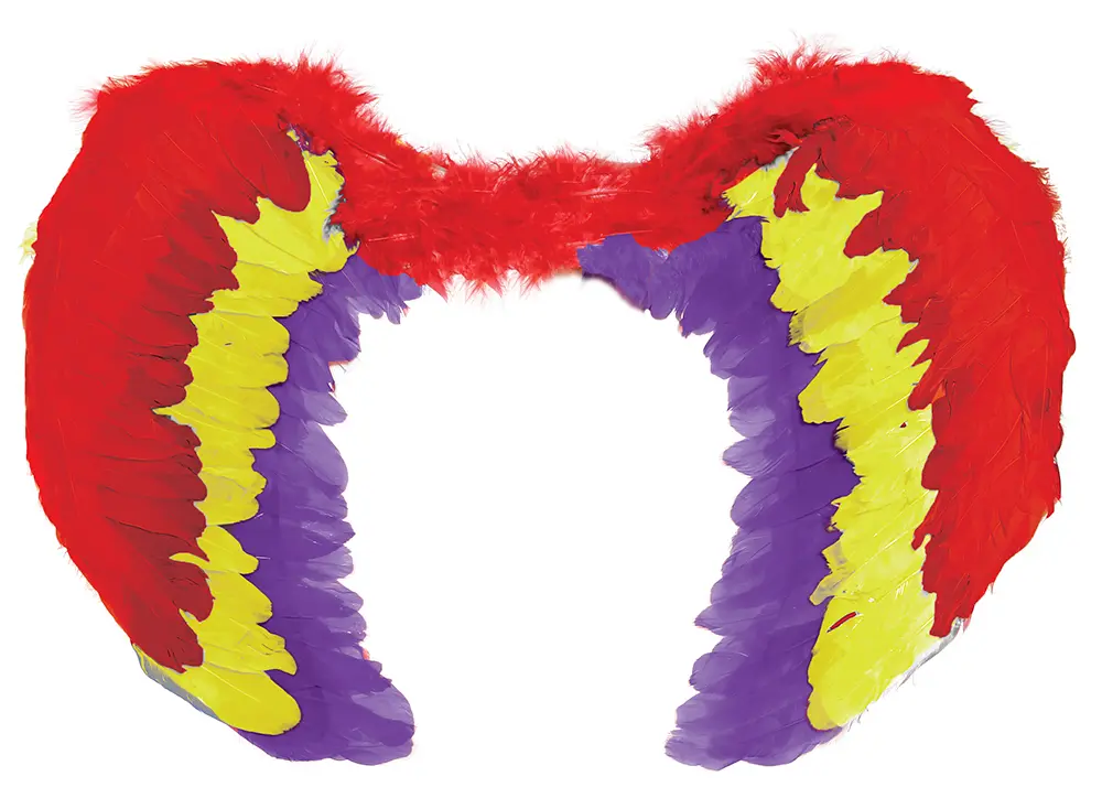 Flerfarvede fjervinger 60 × 40 cm