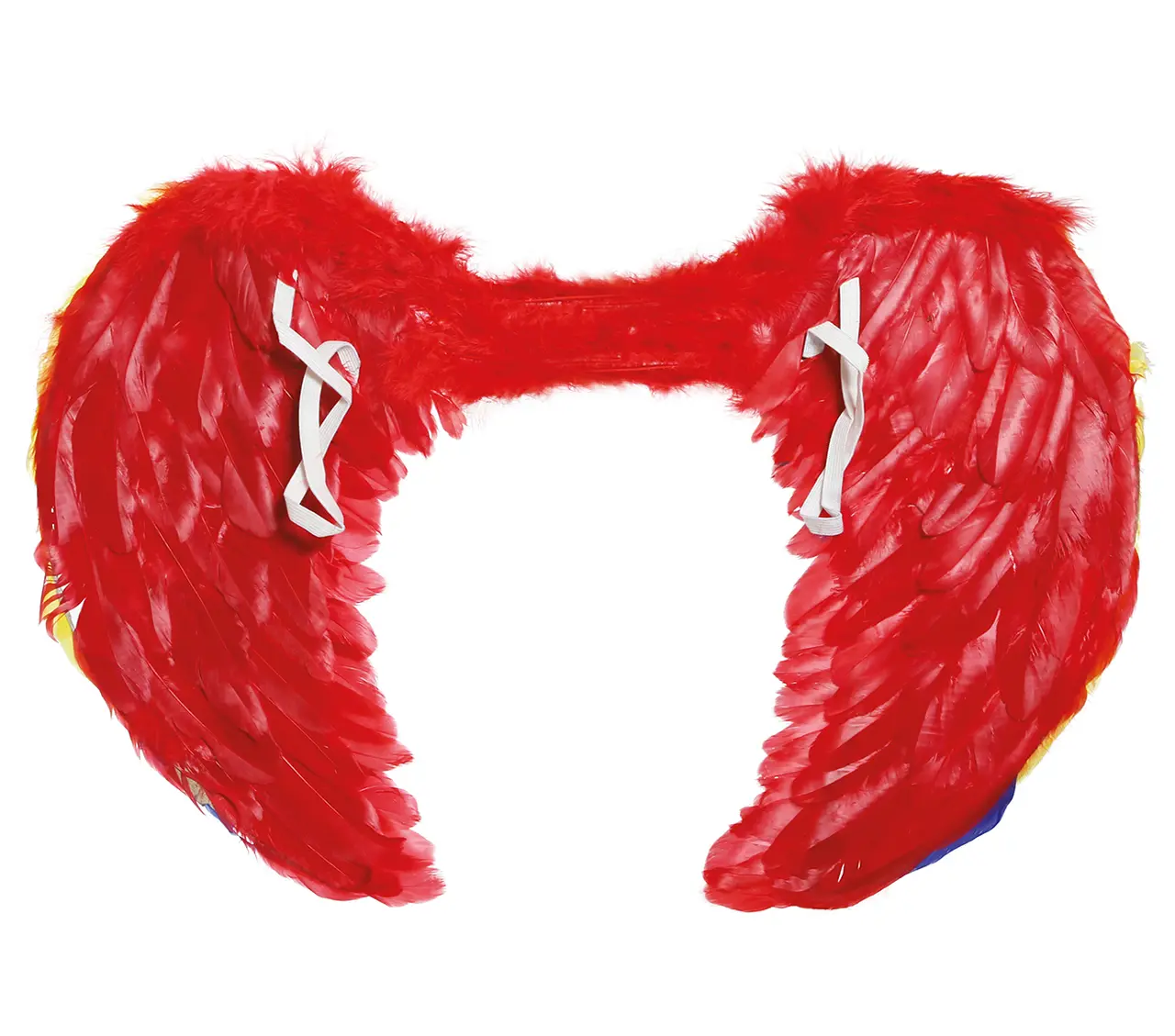 Flerfarvede fjervinger 60 × 40 cm