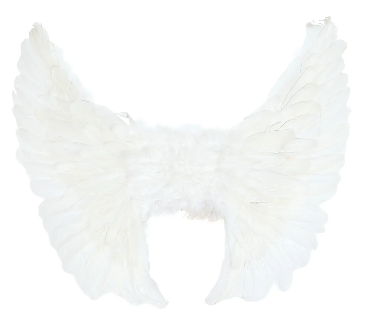 Hvide fjervinger 55 × 45 cm