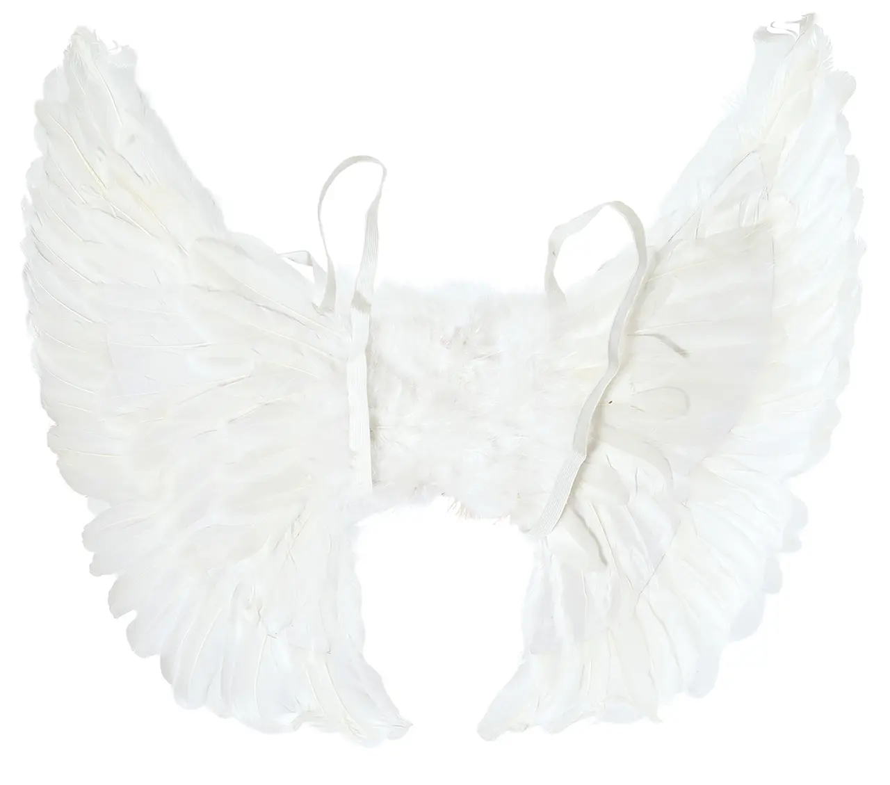 Hvide fjervinger 55 × 45 cm