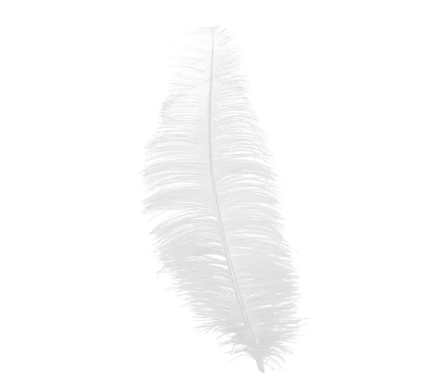 Pose med 12 strudsefjer, 25-35 cm, hvid