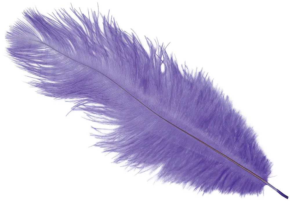 Pose med 12 strudsefjer, 25-35 cm, lilla