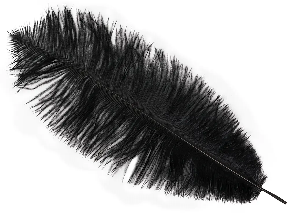 Pose med 12 strudsefjer, 25-35 cm, sort