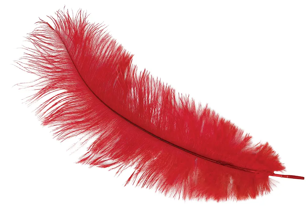 Pose med 12 strudsefjer, 25-35 cm, rød