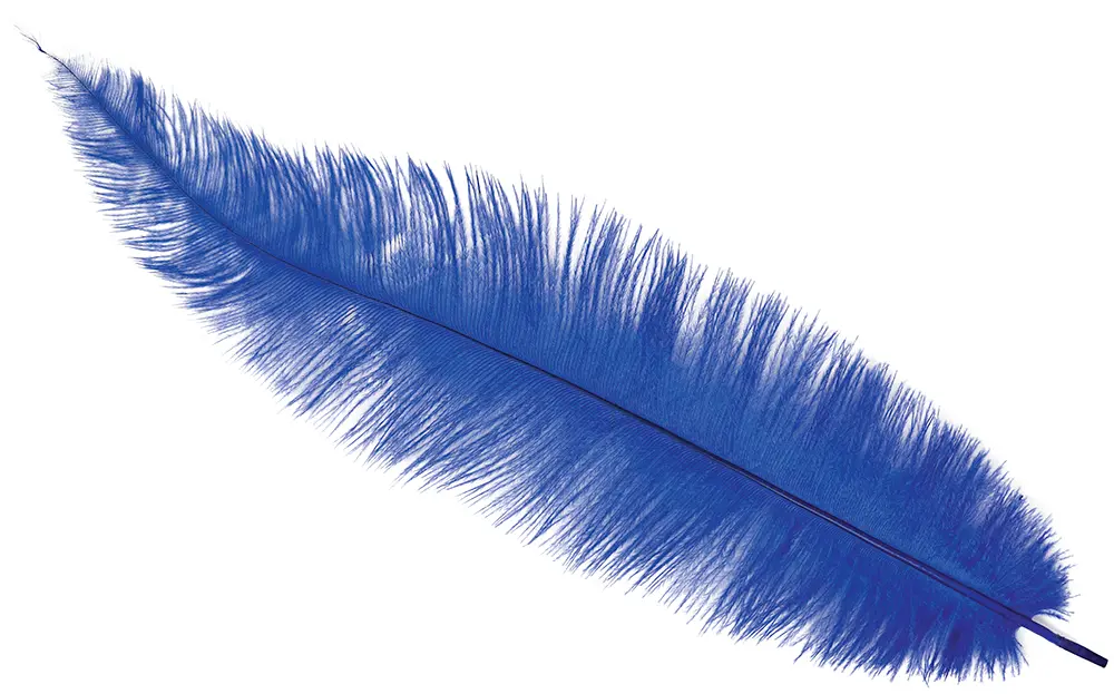 Pose med 12 strudsefjer, 35-45 cm, blå