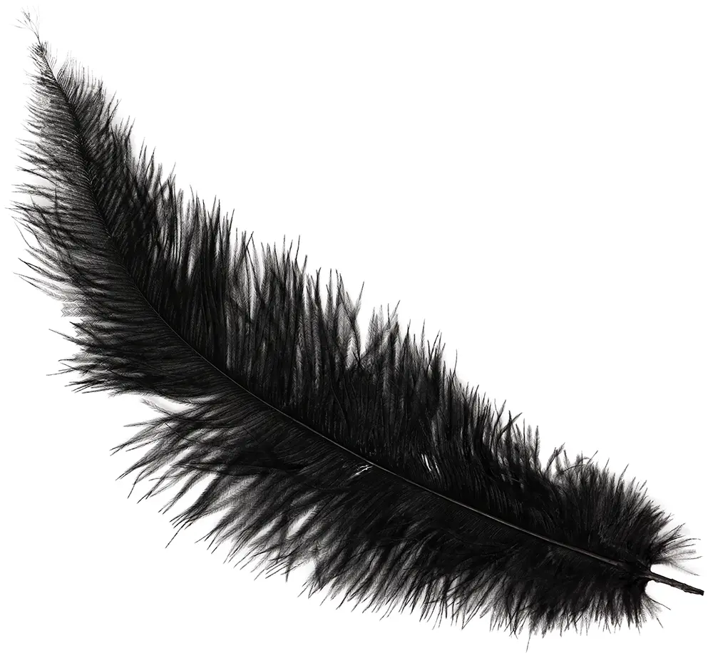 Pose med 12 strudsefjer, 35-45 cm, sort