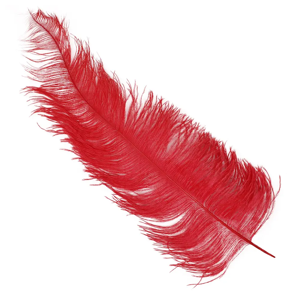 Pose med 12 strudsefjer, 45-65 cm, rød