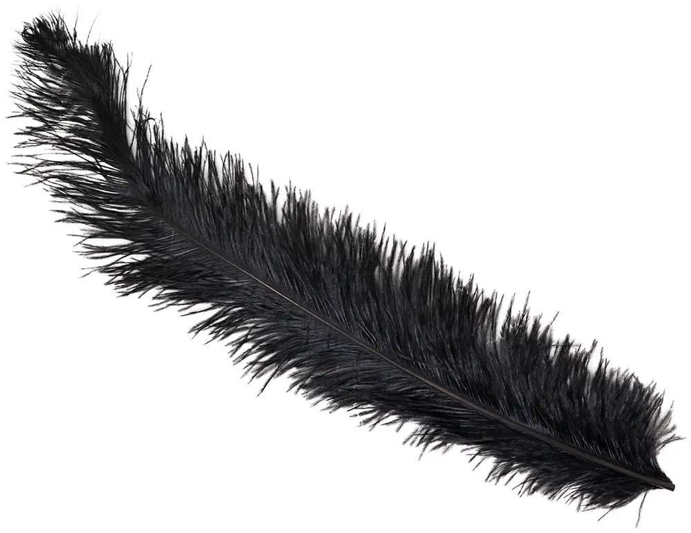 Pose med 12 strudsefjer, 45-65 cm, sort