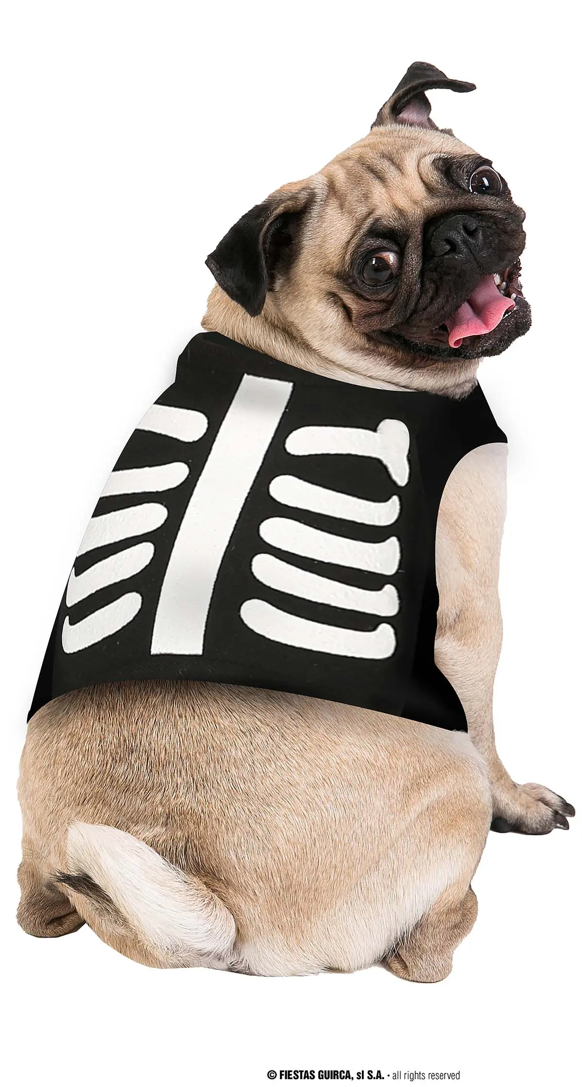 Dyreskelet – kostume til hunde