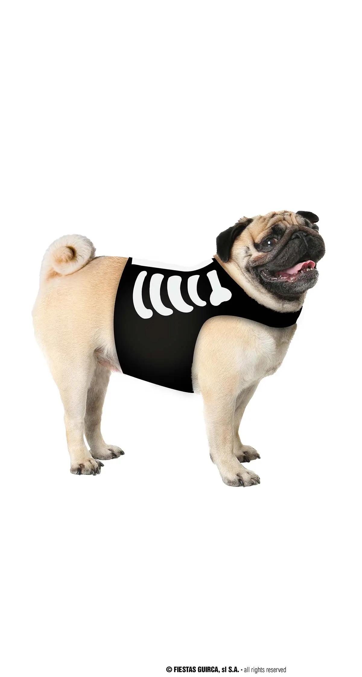 Dyreskelet – kostume til hunde