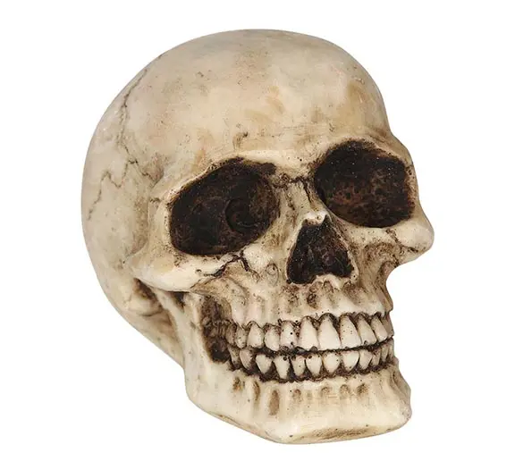 Kranie i resin 8 cm
