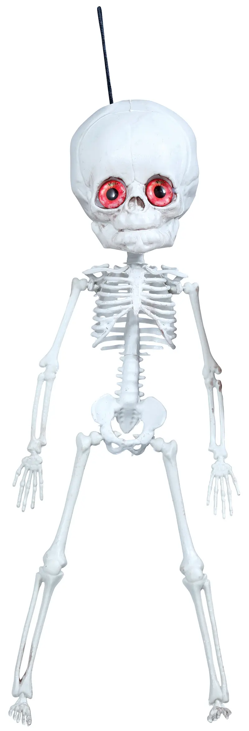Hængende skelet, 40 cm