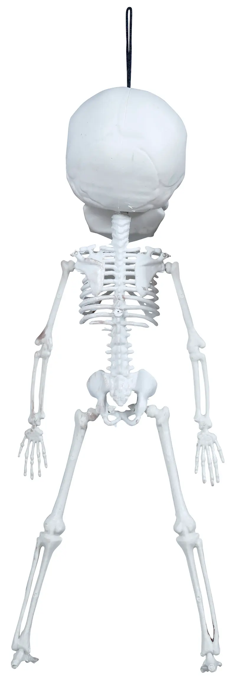 Hængende skelet, 40 cm