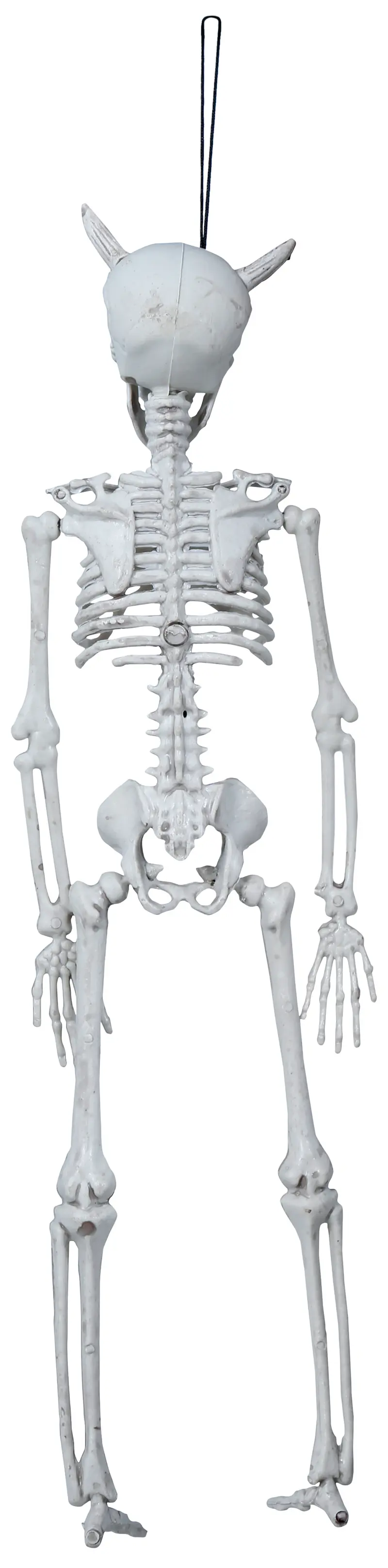 Hængende djævleskelet, 40 cm