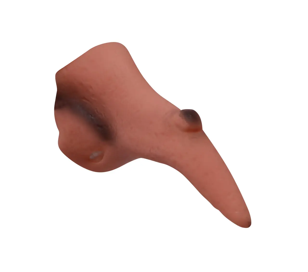 Heksenæse, latex