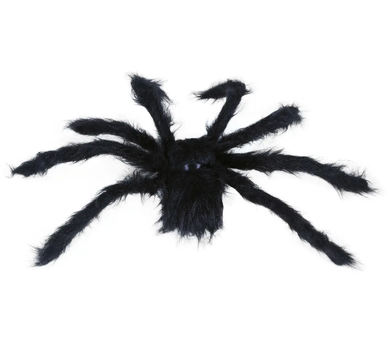 Sort edderkop, 50 cm