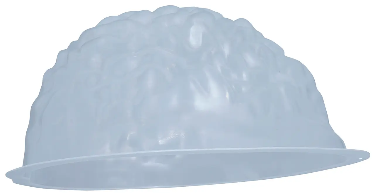 Hjerneform til gelé, 22 × 18 cm