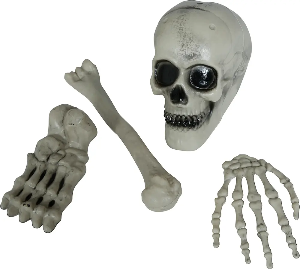 Sæt med 4 skeletknogler