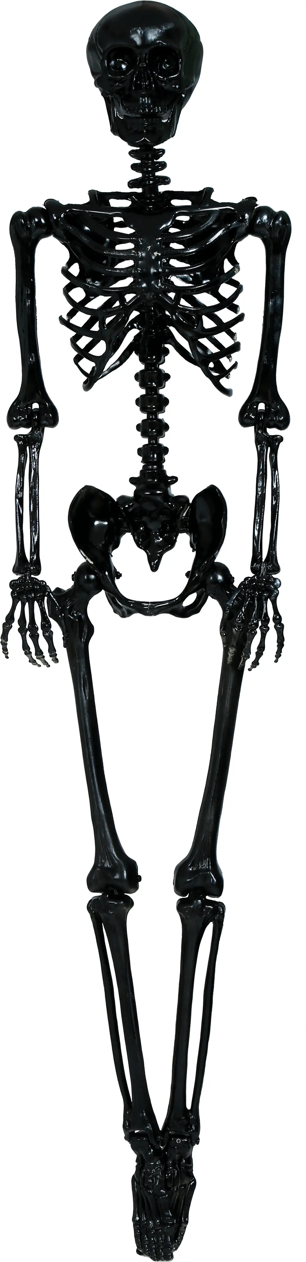 Sort skelet, 160 cm