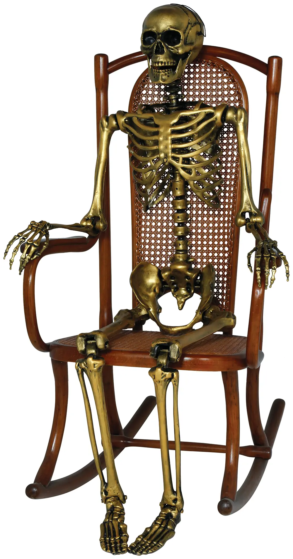 Guldskelet, 160 cm