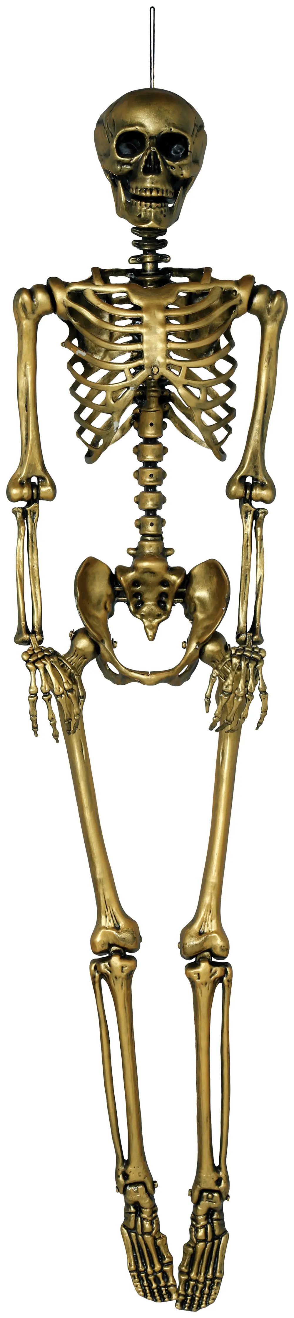 Guldskelet, 160 cm