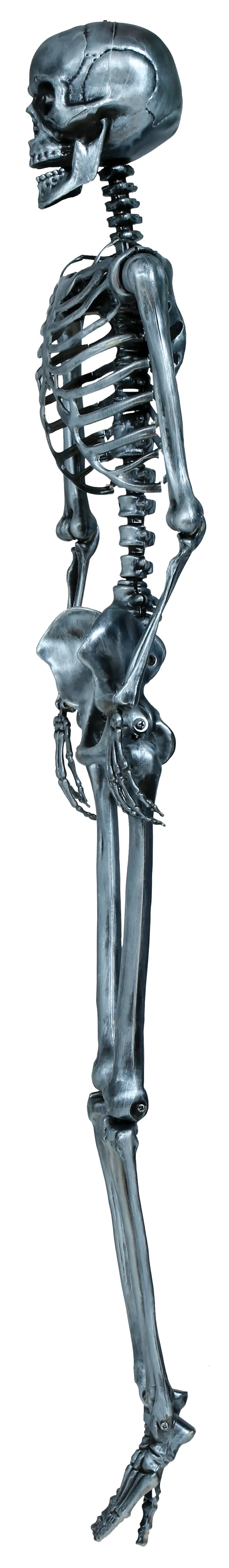 Sølvfarvet skelet 160 cm