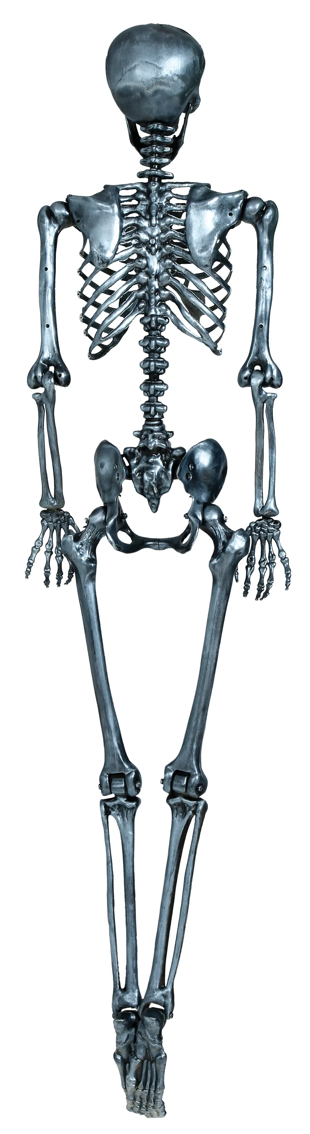 Sølvfarvet skelet 160 cm