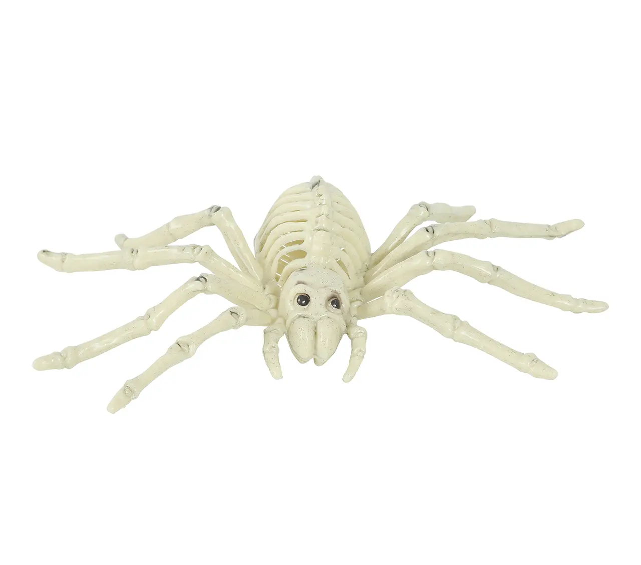 Edderkoppeskelet 24 cm