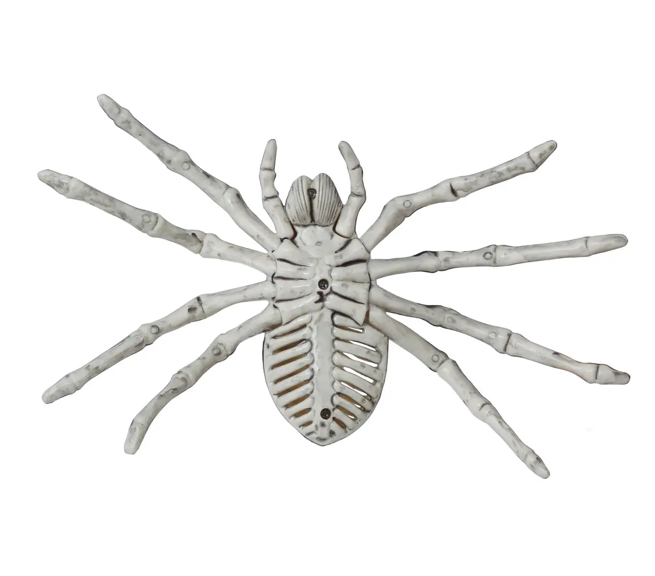 Edderkoppeskelet 24 cm