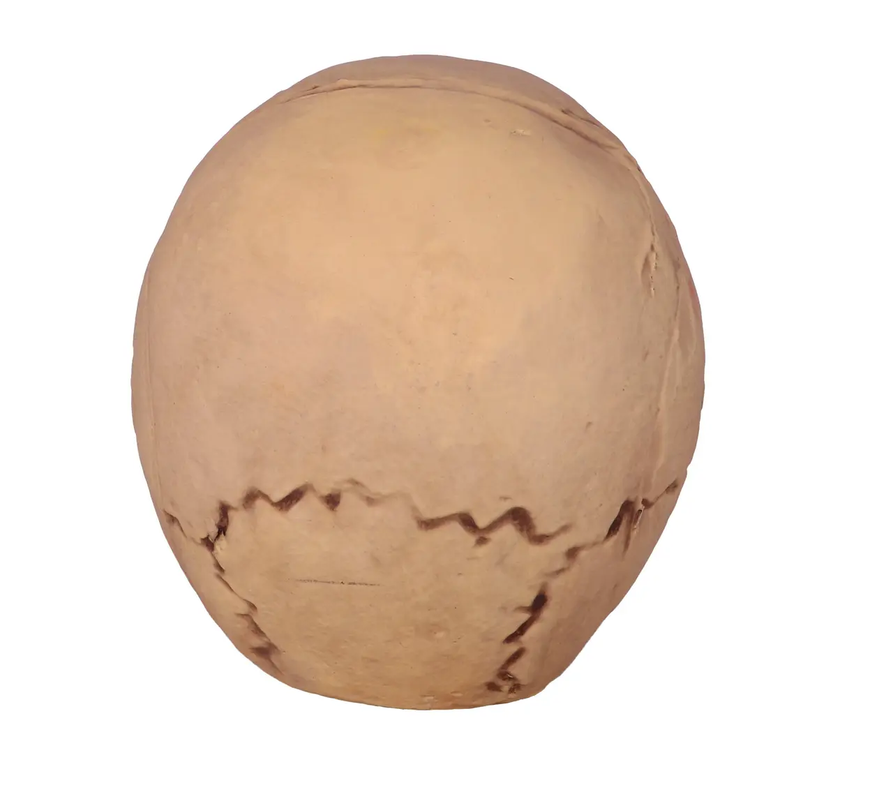 Kranie i skum, 32 cm