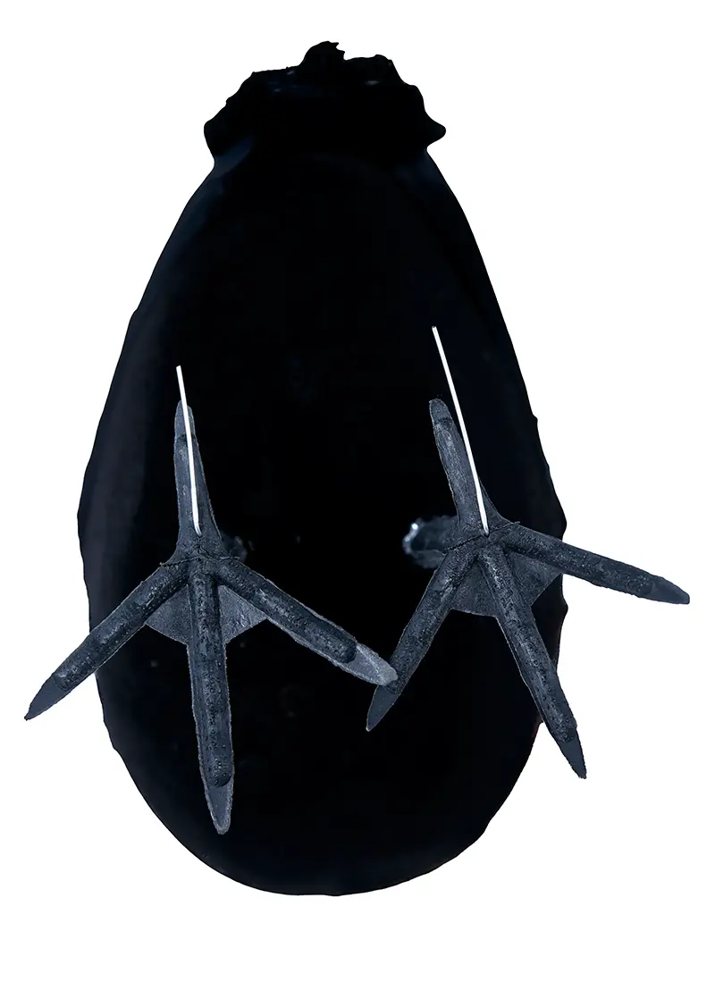 Krage, 21 cm