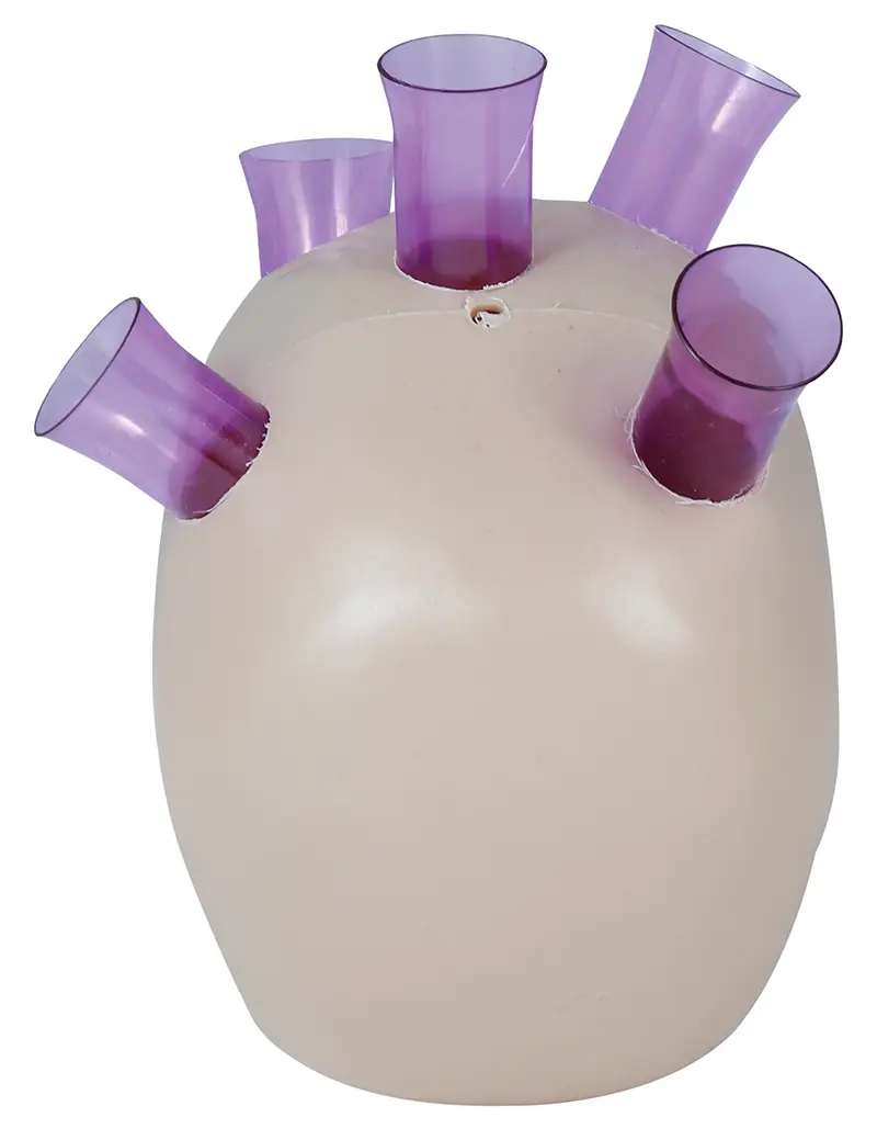 Kranie med shotglas 20 cm