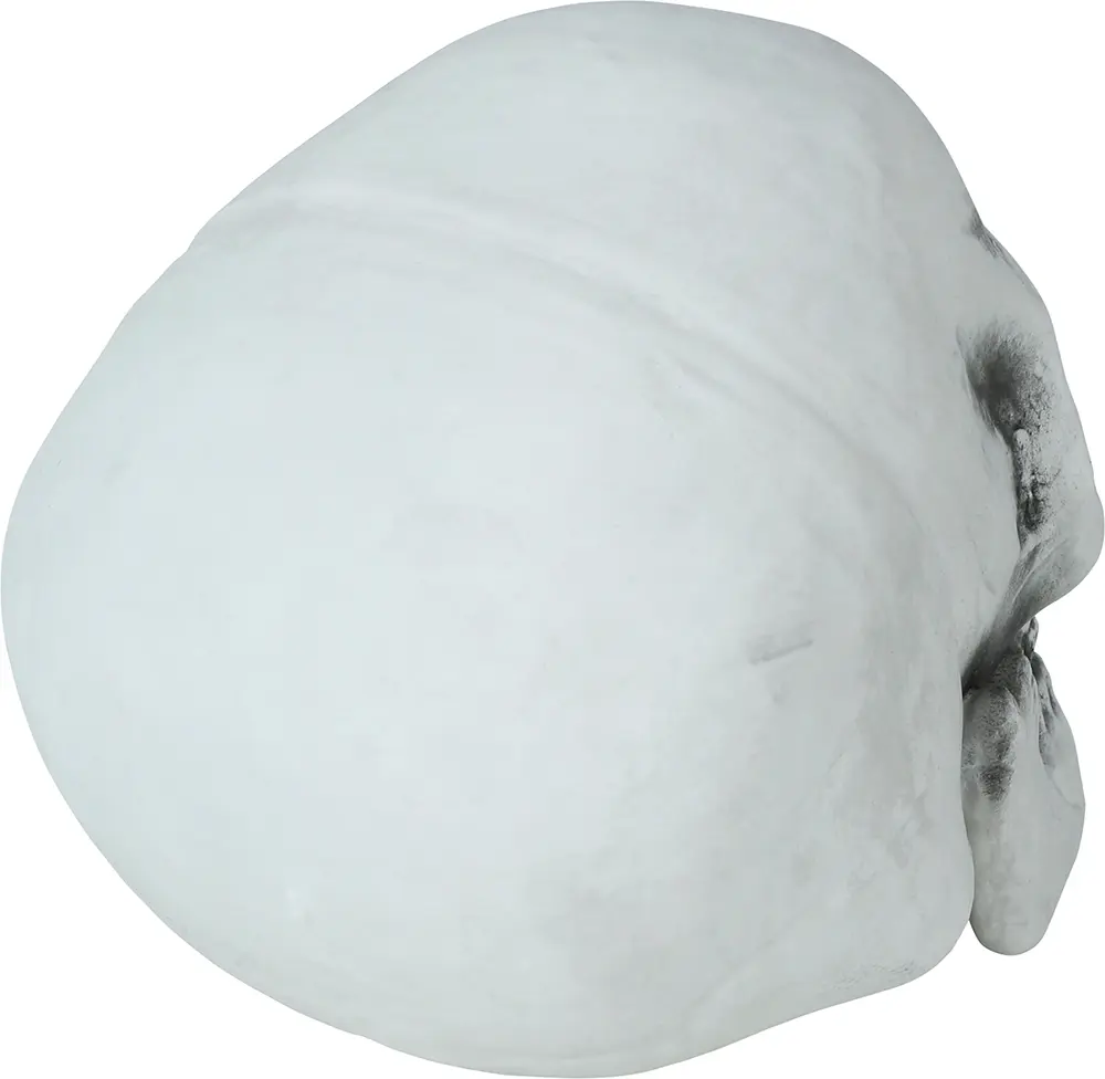 Kranie 30 cm