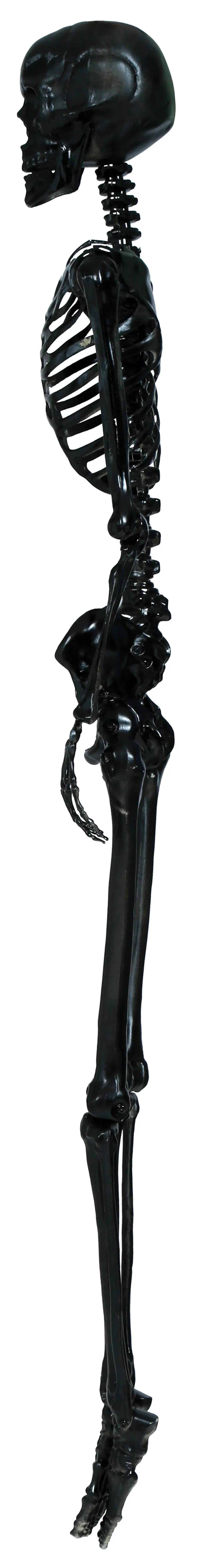 Sort skelet, 90 cm