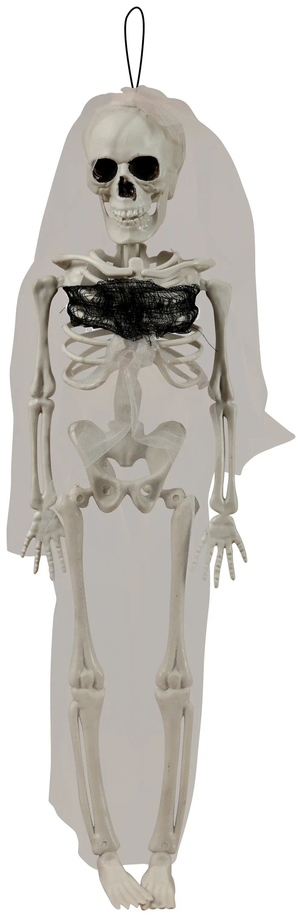 Hængende skeletbrud, 43 cm