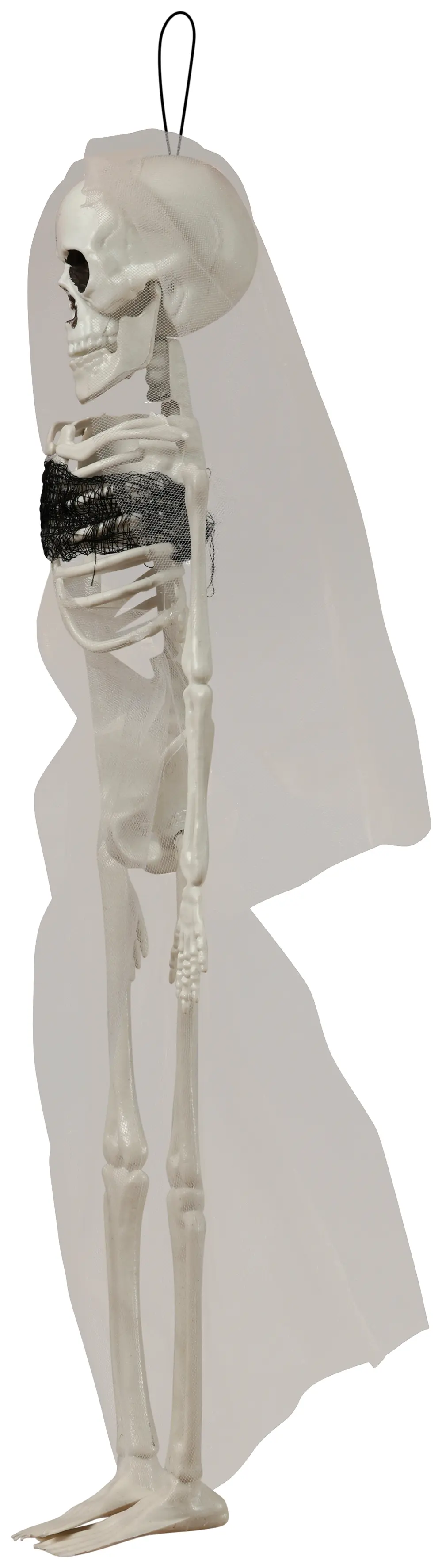 Hængende skeletbrud, 43 cm