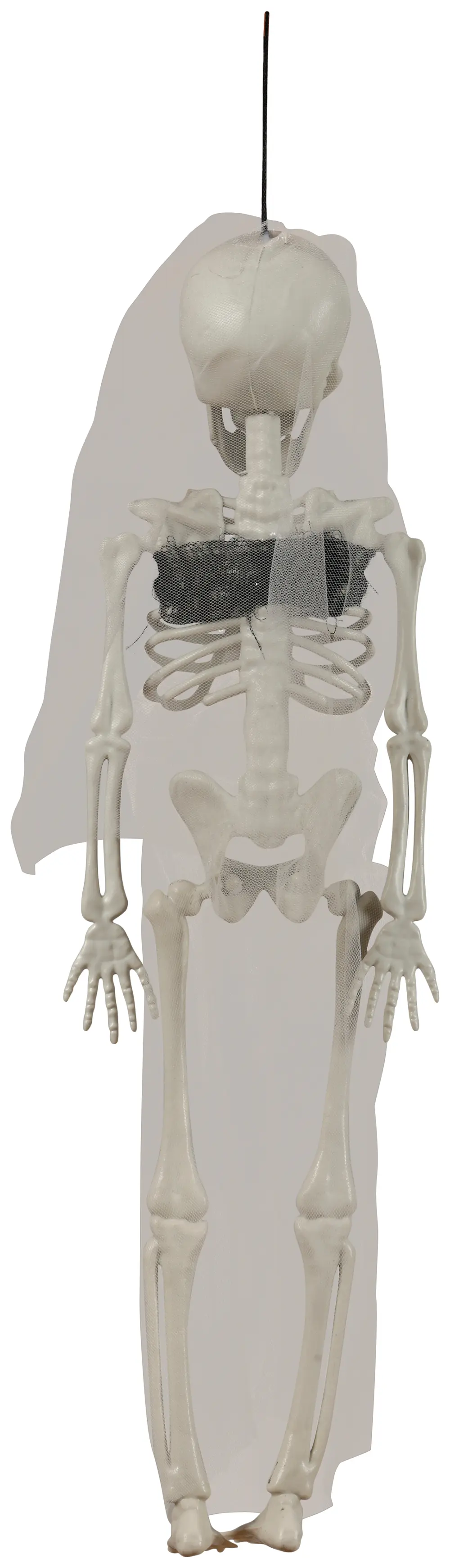 Hængende skeletbrud, 43 cm