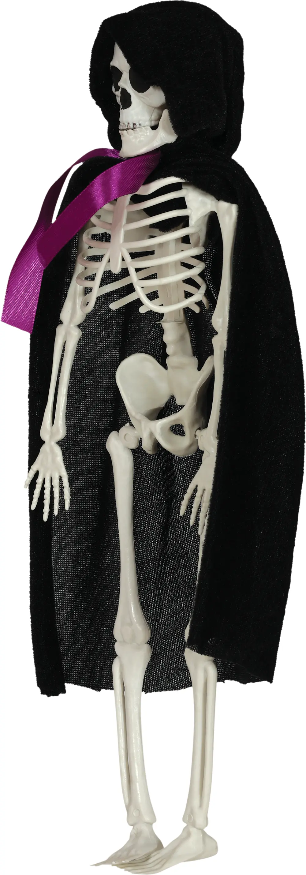 Hængende brudgomsskelet, 43 cm