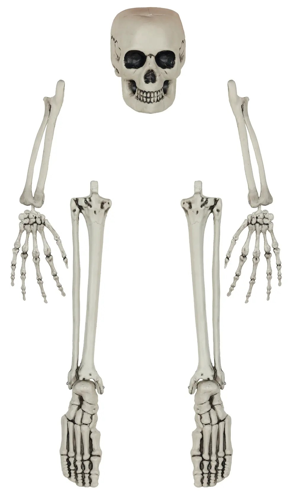 Sæt med 5 skeletknogler
