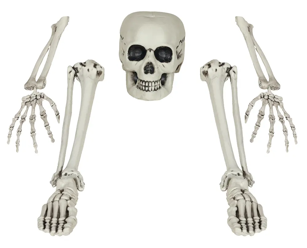 Sæt med 5 skeletknogler