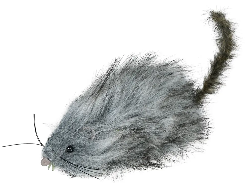 Grå lodden rotte, 16 cm
