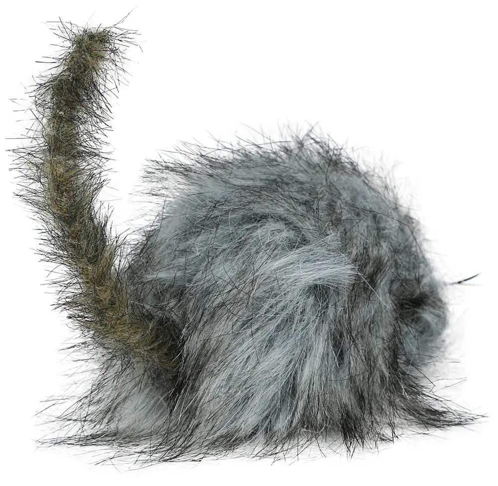 Grå lodden rotte, 16 cm