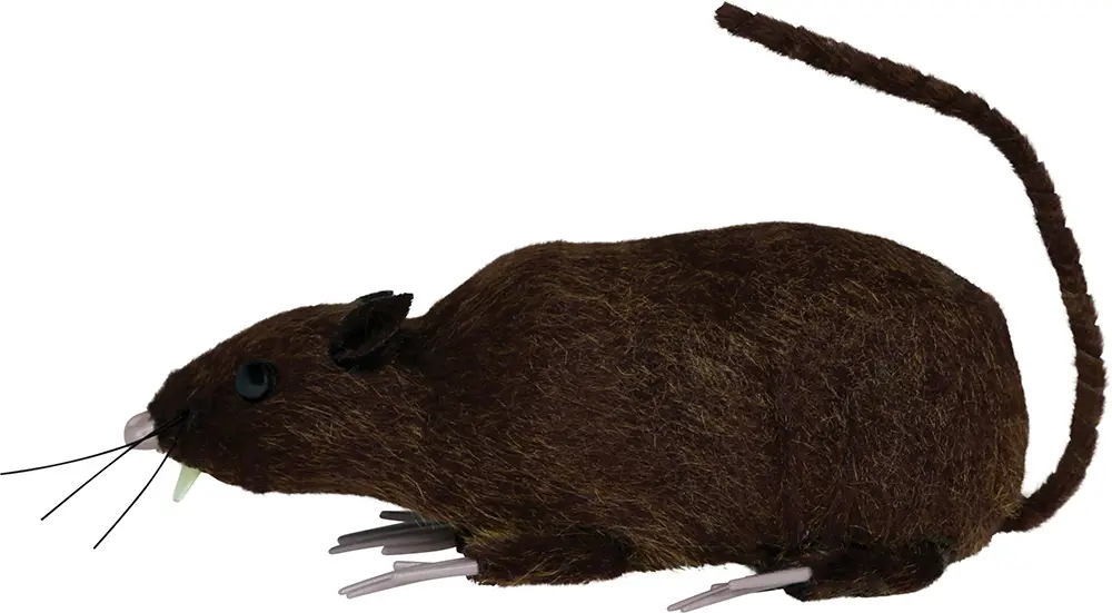 Brun rotte, 15 cm