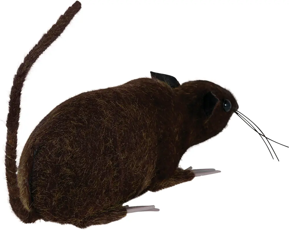 Brun rotte, 15 cm