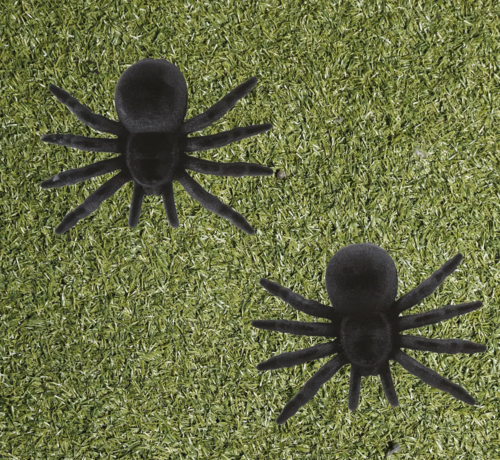Pakke med 2 edderkopper i PVC, 10 cm